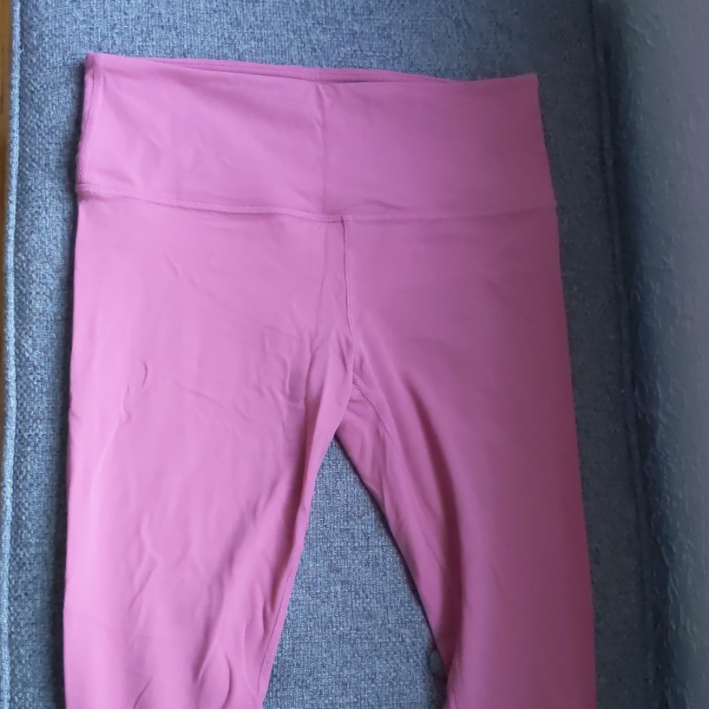 Dark may rose small petite elation powervita